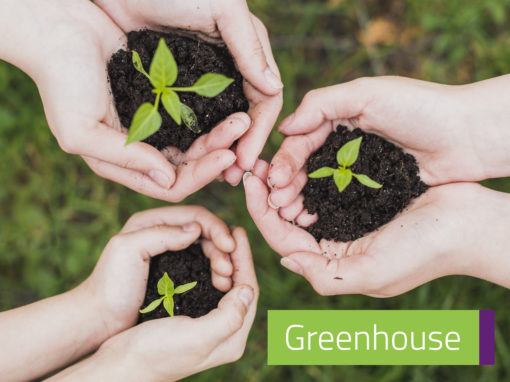 Greenhouse