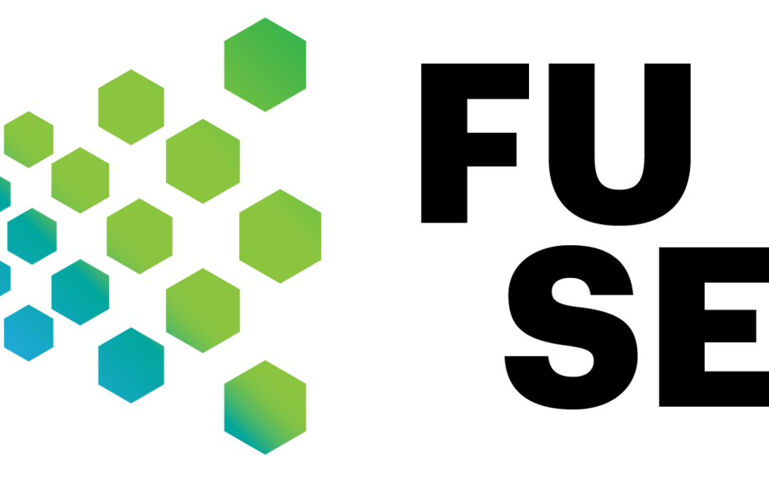 FUSE – Facilitating United approaches to Social innovations in Europe