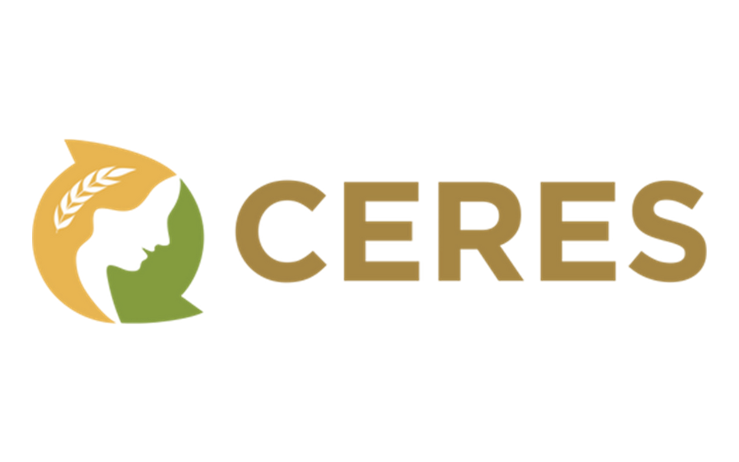 CERES – Circular innovation Ecosystem REdesign Skills