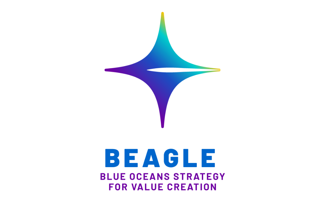 BEAGLE – BLUE OCEAN STRATEGY FOR VALUE CREATION